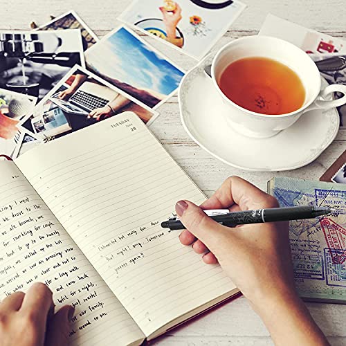 FriXion Erasable Gel Pens 0.7mm, 10-Pack