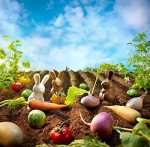 Grabbit Memory Game for Ages 4+ (2-4 Players)