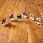 Sleeping Queens 2: The Rescue Card Game