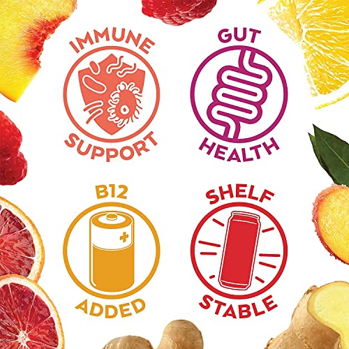 Organic Humm Probiotic Kombucha Variety Pack