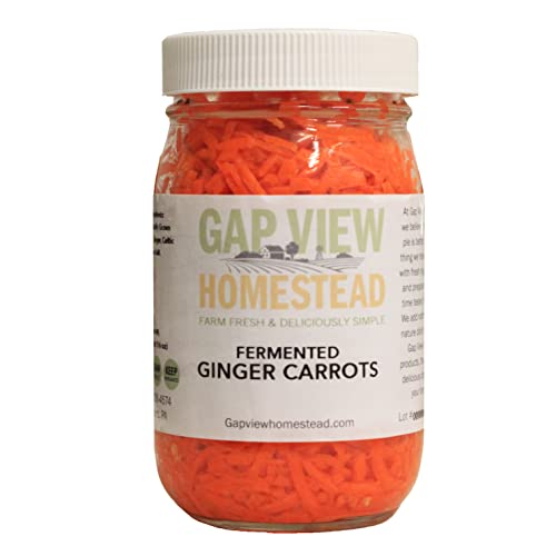 Organic Fermented Raw Ginger Carrots | Handmade