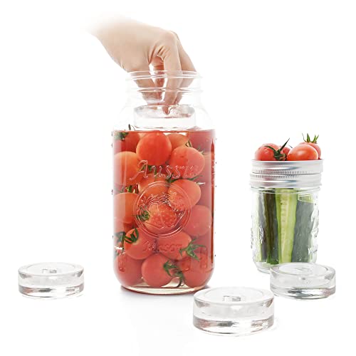 Glass Fermentation Kit with Weights & Lids