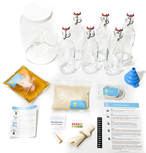 Deluxe Kombucha Fermentation Kit - Live SCOBY, Glass Jar, Instructions
