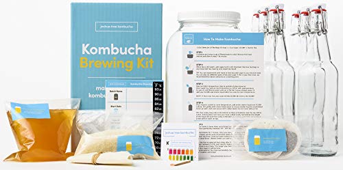 Deluxe Kombucha Fermentation Kit - Live SCOBY, Glass Jar, Instructions