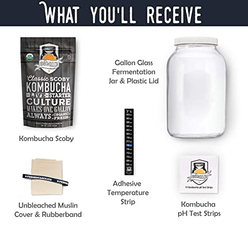 Kombucha Kit with Organic SCOBY and Jar