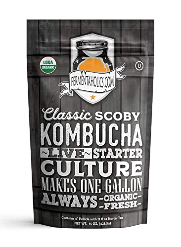 Organic Kombucha Kit - Brew at Home