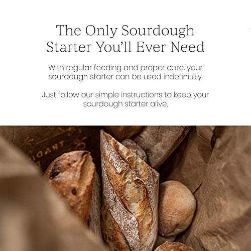 Organic Sourdough Starter - Easy Instructions