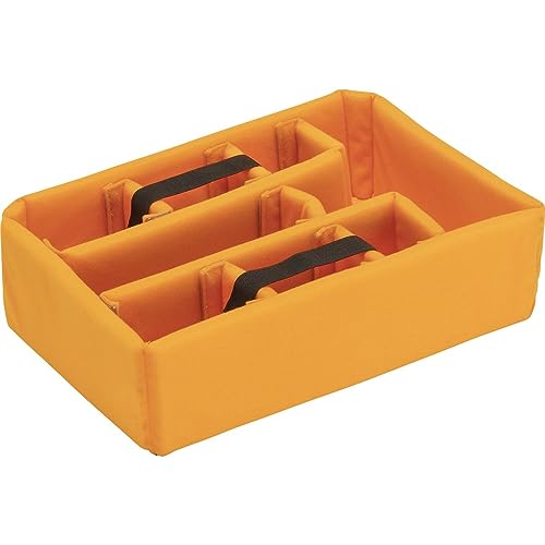 Pelican V200 Medium Case with Foam & Dividers