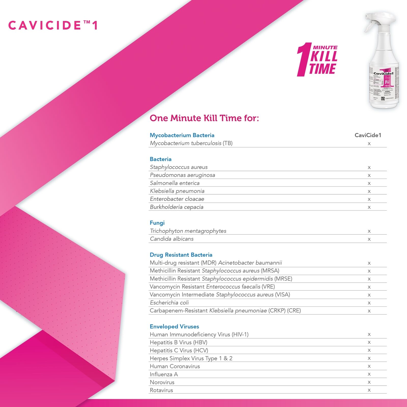 CaviCide1 Liquid Surface Disinfectant Cleaner 24 oz. 1 Ct