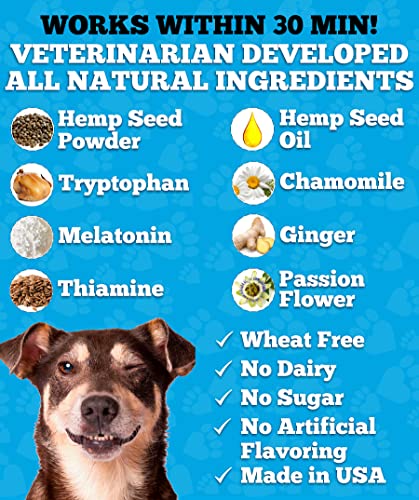Well Loved Calming Chews for Dogs - Dog Calming Treats, Made in USA, Vet Developed, Dog Anxiety Relief, Separation, Fireworks, Travel & Stress Support, Melatonin, Natural & Holistic, 90 Calming Treats