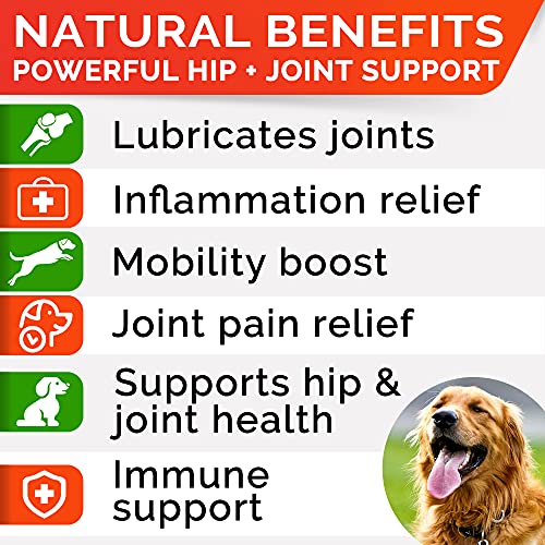 STRELLALAB Hemp Treats + Glucosamine for Dogs - Hip & Joint Supplement - w/Hemp Oil + Protein - Chondroitin, MSM, Turmeric to Improve Mobility & Energy - Natural Joint Pain Relief, 120 Chews
