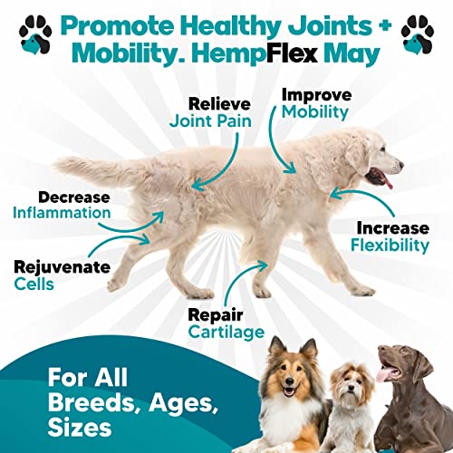 HempFlex - Glucosamine Chondroitin for Dogs - Hemp Oil for Dogs - Safe Dog Joint Supplement for All Breeds - 120 Mobility Hemp Dog Treats - Hip & Joint Support for Dogs - Joint Supplement for Dogs