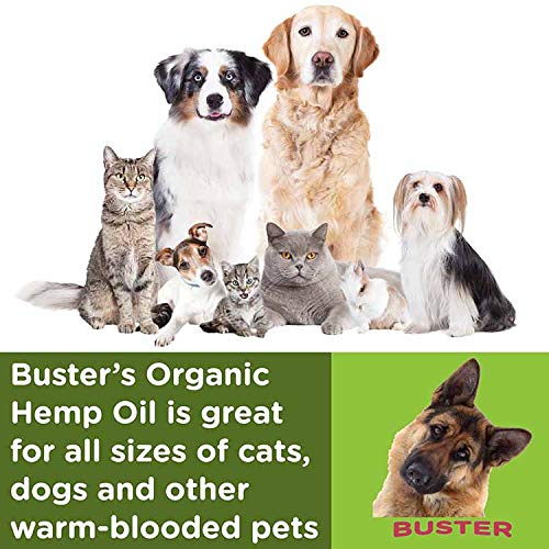 K2xLabs Buster's Organic Hemp Oil for Dogs and Pets, 555,000 Max Potency, Large 60ml Bottle, Made in USA - Miracle Formula, Perfectly Balanced Omega 3, 6, 9 - Relief for Joints, Calming (1Pack)
