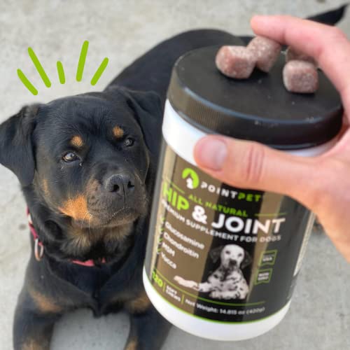 POINTPET Glucosamine for Dogs - Hip & Joint Supplement - Dog Mobility Soft Chews with Chondroitin & MSM - Dog Supplement with Omega 3, Vitamin C & E for Hips and Joints 120cnt