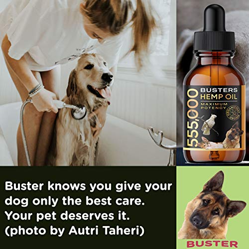 K2xLabs Buster's Organic Hemp Oil for Dogs and Pets, 555,000 Max Potency, Large 60ml Bottle, Made in USA - Miracle Formula, Perfectly Balanced Omega 3, 6, 9 - Relief for Joints, Calming (1Pack)
