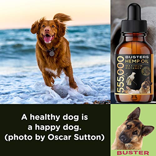 K2xLabs Buster's Organic Hemp Oil for Dogs and Pets, 555,000 Max Potency, Large 60ml Bottle, Made in USA - Miracle Formula, Perfectly Balanced Omega 3, 6, 9 - Relief for Joints, Calming (2Pack)