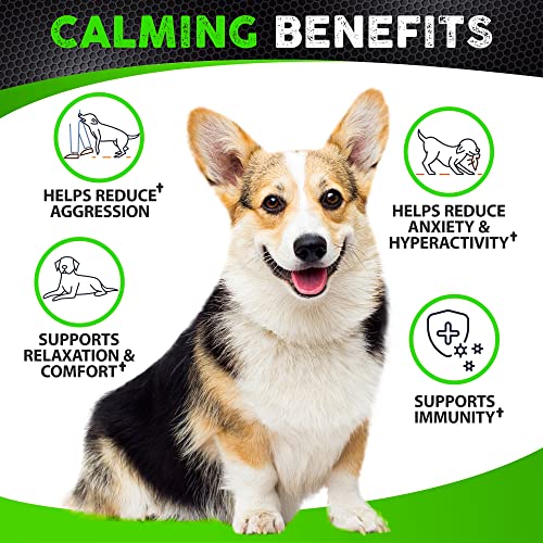 FURALAND Hemp Calming Chews for Dogs with Anxiety and Stress - 170 Dog Calming Treats - Storms, Barking, Separation - Valerian Root - Melatonin - Hemp Oil - Dog Anxiety Relief - Made in USA