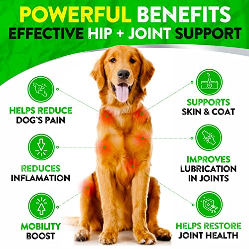 Hemp Hip and Joint Supplement for Dogs - Glucosamine for Dogs - 170 Dog Joint Pain Relief Treats - Chondroitin, Hemp Oil, MSM - Mobility & Flexibility Support - Advanced Joint Health - Made in USA