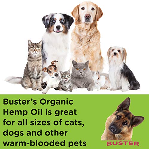 K2xLabs Buster's Organic Hemp Oil for Dogs and Pets, 555,000 Max Potency, Large 60ml Bottle, Made in USA - Miracle Formula, Perfectly Balanced Omega 3, 6, 9 - Relief for Joints, Calming (2Pack)
