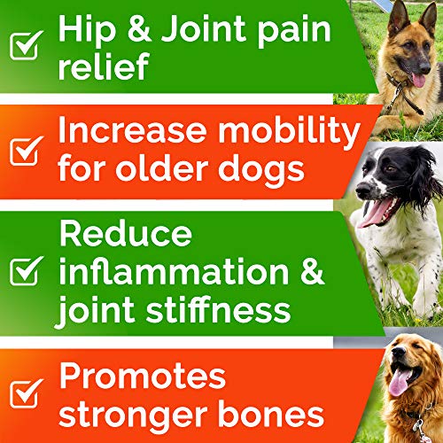 All-Natural Hemp Chews + Glucosamine for Dogs - Advanced Hip & Joint Supplement w/Hemp Oil Turmeric MSM Chondroitin + Hemp Protein to Improve Mobility - Joint Pain Relief Made in USA - Duck Flavor