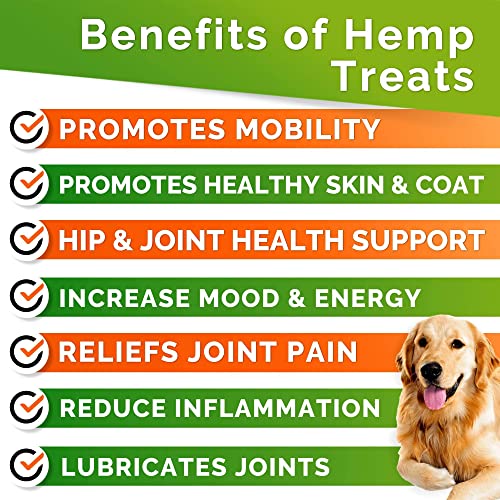 GOODGROWLIES Hemp Hip & Joint Supplement for Dogs Glucosamine, Chondroitin, MSM, Turmeric, Hemp Seed Oil & Hemp Protein for Joint Pain Relief & Mobility 120 Soft Chews Bacon Flavor