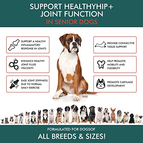 Hip & Joint Supplement for Dogs - with Hemp Oil, Glucosamine, Chondroitin, MSM, Green Lipped Mussel, Natural Joint Pain Relief, Improve Mobility, Reduces Discomfort,120 Chews