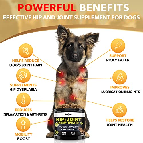 Hemp Hip and Joint Supplement for Dogs - Glucosamine for Dogs - Chondroitin, Hemp Oil, MSM & Turmeric - Support Joint Mobility, Joint Pain Relief, Hip Dysplasia, Arthritis Health Care - 120 Chews