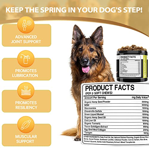 Hemp Hip and Joint Supplement for Dogs - Glucosamine for Dogs - Chondroitin, Hemp Oil, MSM & Turmeric - Support Joint Mobility, Joint Pain Relief, Hip Dysplasia, Arthritis Health Care - 120 Chews