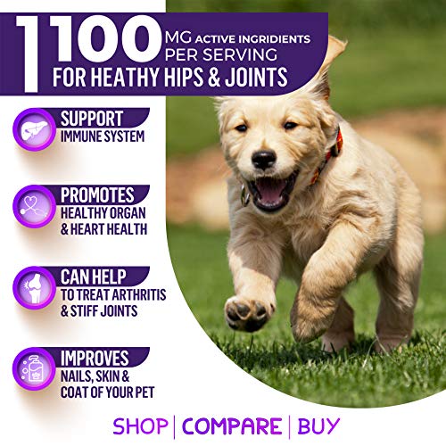 WIZARDPET Mobility Hemp Hip & Joint Supplement for Senior Dogs | Chondroitin Glucosamine MSM Turmeric Green Lipped Mussel | Extra Strength Formula for Arthritis Pain Relief & Mobility | 90 Soft Chews