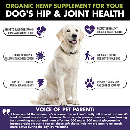 WIZARDPET Mobility Hemp Hip & Joint Supplement for Senior Dogs | Chondroitin Glucosamine MSM Turmeric Green Lipped Mussel | Extra Strength Formula for Arthritis Pain Relief & Mobility | 90 Soft Chews