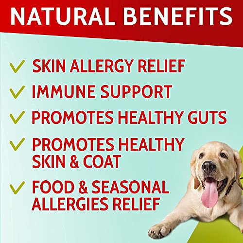 Hemp + Glucosamine Treats for Dogs + Allergy Relief Dog Chews w/Omega 3 Bundle - Hip & Joint Supplement w/Hemp Oil MSM Turmeric + Itchy Skin Relief - All Breeds Sizes - Made in USA Immune Supplement