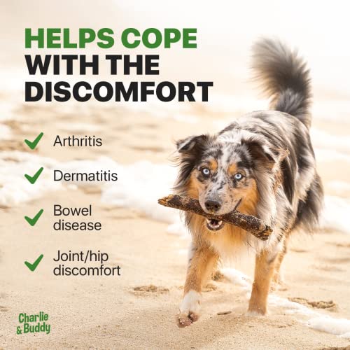 Hеmp Oil Dogs Cats + Hemp Chews for Dogs - Helps Pets with Аnxiety, Strеss, Pаin, Аrthritis, Hip&Joint