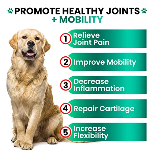 Hemp Hip and Joint Supplement for Dogs - Glucosamine for Dogs - 170 Dog Joint Pain Relief Treats - Chondroitin, MSM, Hemp Oil - Advanced Dog Joint Supplement Health - Mobility Support Chews
