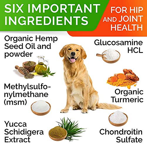 All-Natural Hemp Chews + Glucosamine for Dogs - Advanced Hip & Joint Supplement w/Hemp Oil Turmeric MSM Chondroitin + Hemp Protein to Improve Mobility - Joint Pain Relief Made in USA - Bacon Flavor