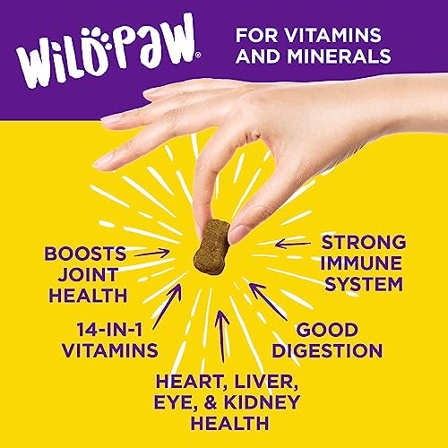WILDPAW 14 in 1 Multivitamin Treats for Dogs with Hemp, Glucosamine, Chondroitin, MSM, Omegas & Probiotics - Advanced Supplements with Natural Daily Vitamins for Dogs Overall Health and Joint Support