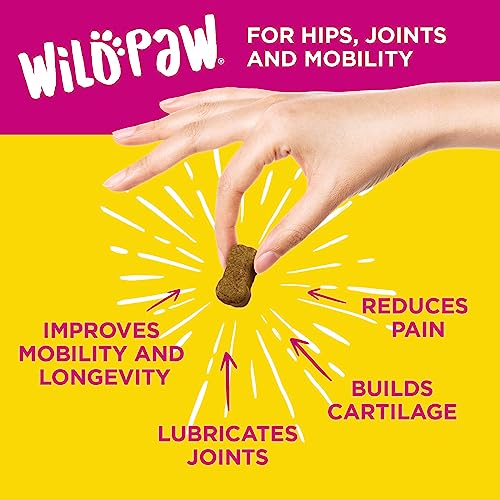 WILDPAW Organic Hemp Dog Treats for Hip and Joint Support - Soft Chew Supplements with Glucosamine, Turmeric, Chondroitin, MSM, Hemp Oil + Powder - Natural Pain Relief and Improved Mobility