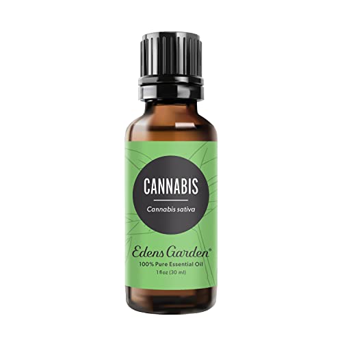 Edens Garden Cannabis Essential Oil, 100% Pure Therapeutic Grade (Undiluted Natural/Homeopathic Aromatherapy Scented Essential Oil Singles) 30 ml