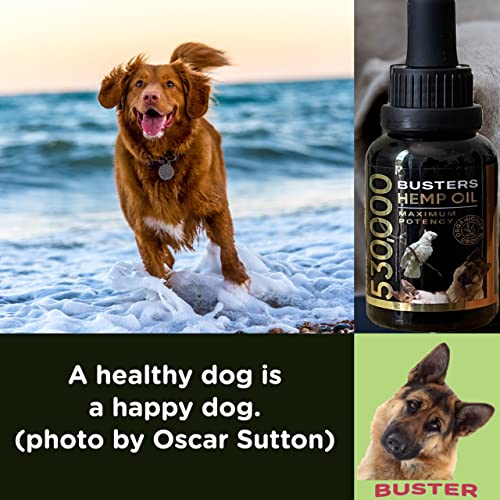 Buster's Organic Hemp Oil 2Pack 530000, 2Month Supply - for Dogs & Cats - Max Potency - Made in USA - Omega Rich 3, 6 & 9 - Hip & Joint Health, Natural Relief, Calming (2PACK)