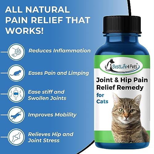 BestLife4Pets Cat Hip and Joint Supplement - Relief from Pain, Inflammation, and Injuries - Improve Mobility - No odor or Taste - All Natural Easy To Use and Swallow - 450 Pills