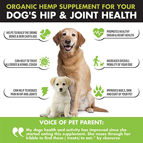 WIZARDPET Advanced Hemp Hip & Joint Supplement for Dogs | Glucosamine Chondroitin for Dogs | Omegas | Turmeric MSM Green Lipped Mussel, Dog treats support mobility | 120 Chews