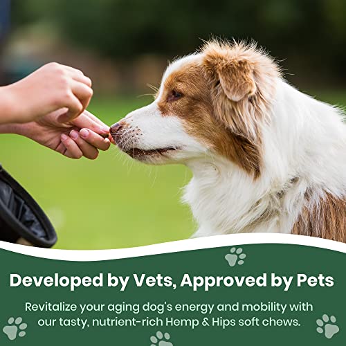 Vet Naturals Hemp & Hips - Dog Joint Supplement Large Breed - Senior Dog Supplements - Glucosamine and Chondroitin Supplement for Large Dog - MSM & USA Grown Hemp Oil (60ct-Rotisserie Chicken)