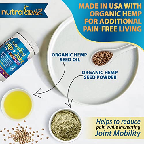 NUTRACHEWZ Grain Free Hip & Joint Supplement for Dogs with Organic Hemp Oil, Glucosamine Chondroitin, Turmeric, MSM, Green Lipped Mussel for Arthritis, Pain Relief, Mobility All Natural - 120 Chews