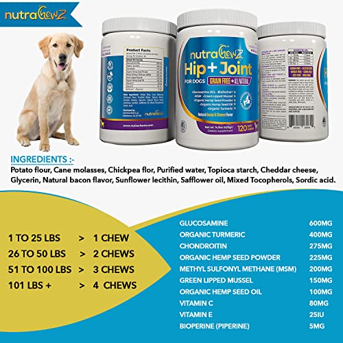 NUTRACHEWZ Grain Free Hip & Joint Supplement for Dogs with Organic Hemp Oil, Glucosamine Chondroitin, Turmeric, MSM, Green Lipped Mussel for Arthritis, Pain Relief, Mobility All Natural - 120 Chews