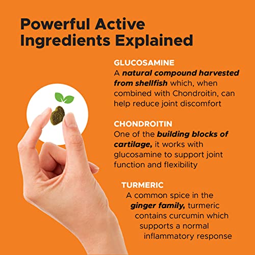 PetHonesty Hip & Joint Health - Dog Joint Supplement Support for Dogs with Glucosamine Chondroitin, MSM, Turmeric - Glucosamine for Dogs Soft Chews - Advanced Pet Joint Support and Mobility - (90 ct)