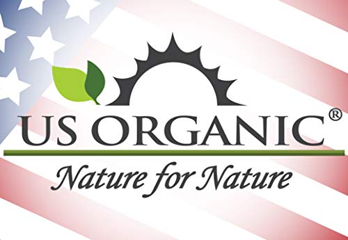 US Organic Hemp Seed Oil, Certified Organic, Pure & Natural, Cold Pressed Virgin, Unrefined, Amber Glass Bottle with Glass Eye Dropper for Easy Application (2 oz (56 ml))