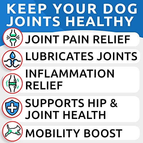 Bark&Spark Hemp Treats + Glucosamine - Natural Joint Pain Relief - Hip & Joint Supplement w/MSM + Chondroitin + Hemp Oil + Omega 3 - Joint Pain Relief - Made in USA - Chicken Flavor - 120 Chews