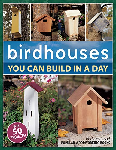 One-Day Birdhouse Building Guide (Woodworking)