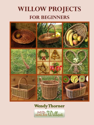 Beginner's Willow Art Kit: 17 Projects