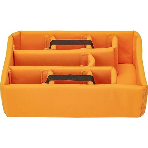 Pelican V200 Medium Case with Foam & Dividers