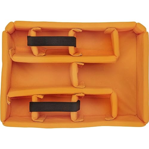 Pelican V200 Medium Case with Foam & Dividers